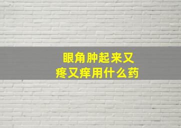 眼角肿起来又疼又痒用什么药