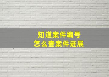 知道案件编号怎么查案件进展