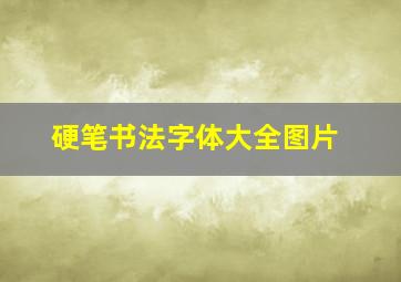 硬笔书法字体大全图片