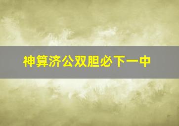 神算济公双胆必下一中