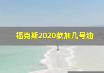 福克斯2020款加几号油