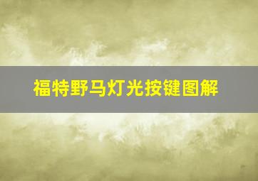 福特野马灯光按键图解