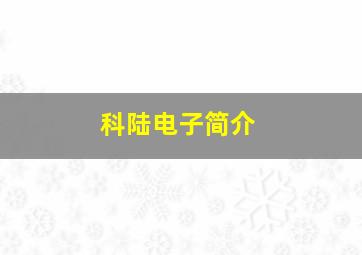 科陆电子简介