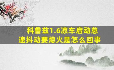 科鲁兹1.6凉车启动怠速抖动要熄火是怎么回事