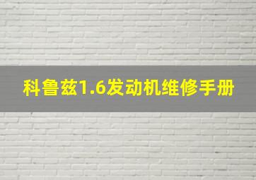 科鲁兹1.6发动机维修手册