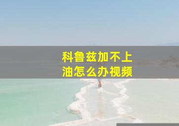 科鲁兹加不上油怎么办视频