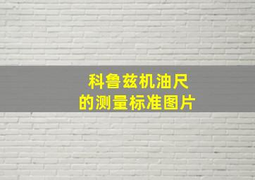 科鲁兹机油尺的测量标准图片