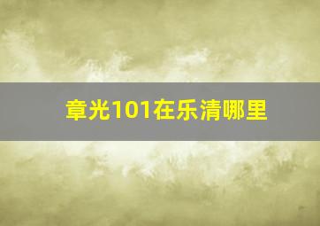 章光101在乐清哪里