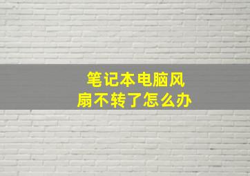 笔记本电脑风扇不转了怎么办