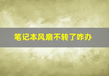 笔记本风扇不转了咋办