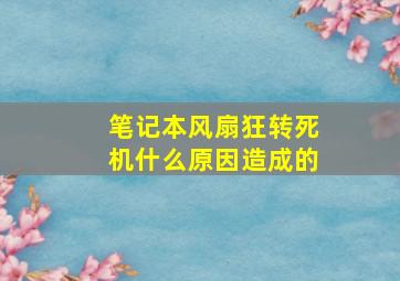 笔记本风扇狂转死机什么原因造成的