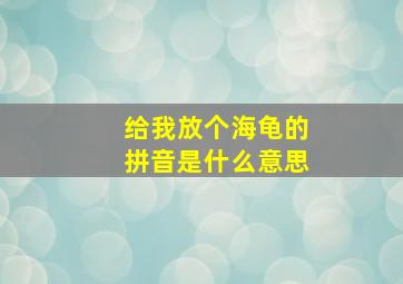 给我放个海龟的拼音是什么意思