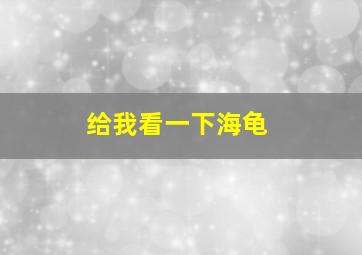 给我看一下海龟