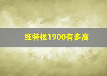 维特根1900有多高