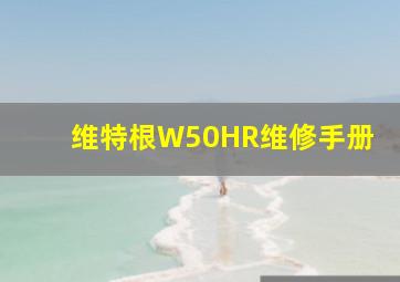 维特根W50HR维修手册