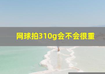 网球拍310g会不会很重