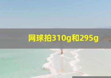 网球拍310g和295g