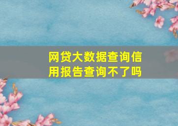 网贷大数据查询信用报告查询不了吗