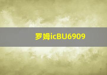 罗姆icBU6909