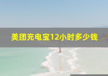 美团充电宝12小时多少钱