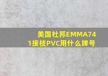 美国杜邦EMMA741接枝PVC用什么牌号