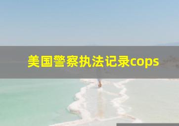 美国警察执法记录cops