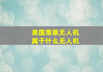 美国鹰眼无人机属于什么无人机