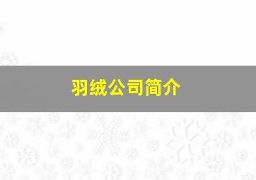 羽绒公司简介