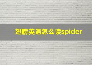 翅膀英语怎么读spider