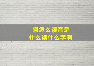 翎怎么读音是什么读什么字啊