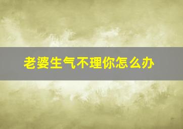 老婆生气不理你怎么办