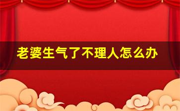 老婆生气了不理人怎么办