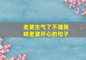 老婆生气了不理我哄老婆开心的句子