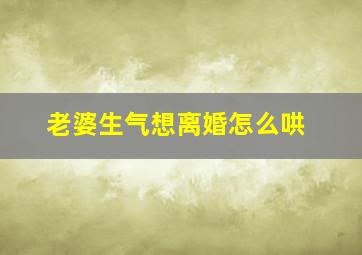 老婆生气想离婚怎么哄