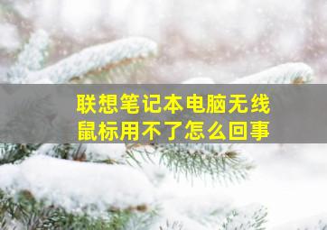 联想笔记本电脑无线鼠标用不了怎么回事