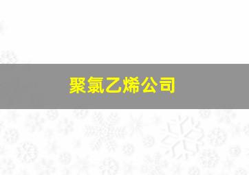 聚氯乙烯公司