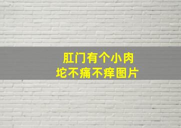 肛门有个小肉坨不痛不痒图片