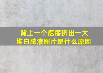 背上一个疙瘩挤出一大堆白脓液图片是什么原因