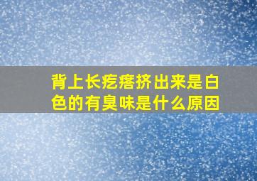 背上长疙瘩挤出来是白色的有臭味是什么原因