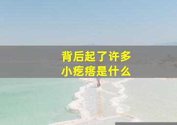 背后起了许多小疙瘩是什么