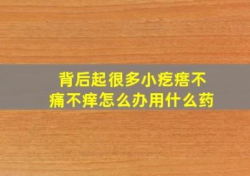 背后起很多小疙瘩不痛不痒怎么办用什么药