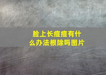 脸上长痘痘有什么办法根除吗图片