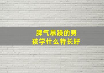 脾气暴躁的男孩学什么特长好