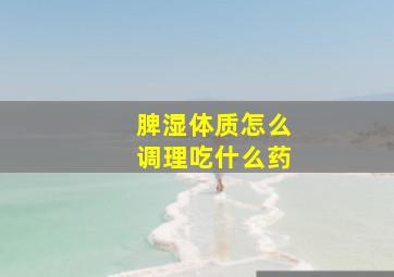 脾湿体质怎么调理吃什么药