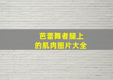 芭蕾舞者腿上的肌肉图片大全