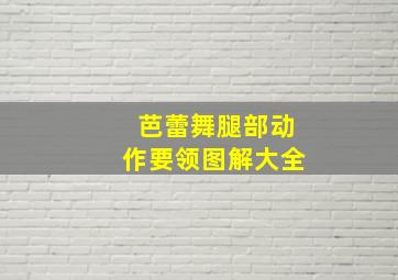 芭蕾舞腿部动作要领图解大全