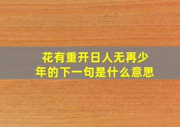 花有重开日人无再少年的下一句是什么意思