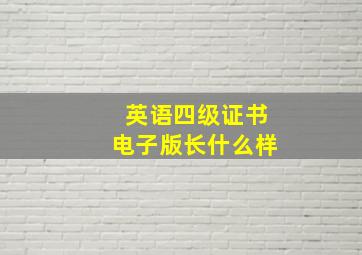 英语四级证书电子版长什么样