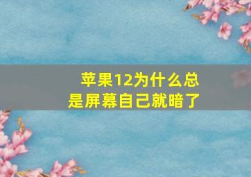 苹果12为什么总是屏幕自己就暗了