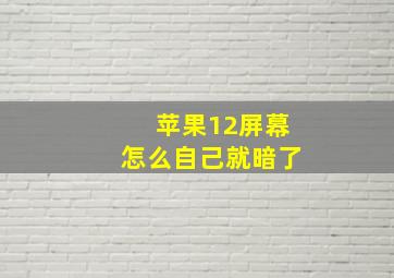 苹果12屏幕怎么自己就暗了